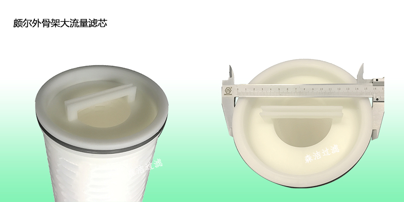 頗爾大流量水濾芯